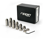 12 Pack Spoke Wheel Weight Kit (Nickel Finish)