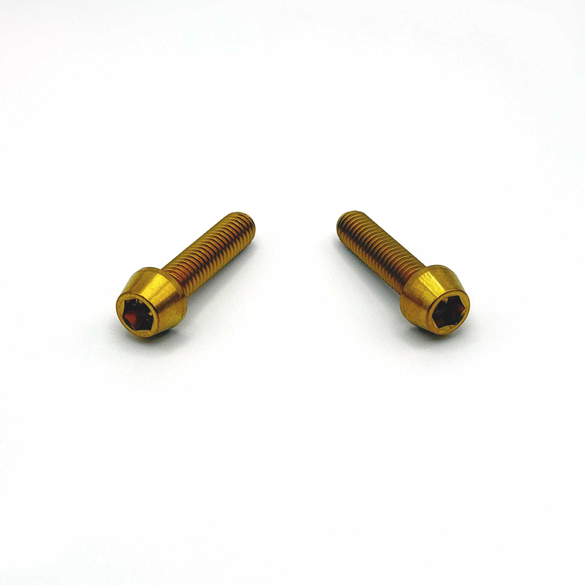Titanium Caliper Bolts 2-Pack [M6x25mm]