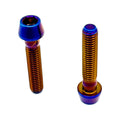 Rippin Moto Titanium Caliper Bolts 2-Pack M6x30mm in Burnt Blue